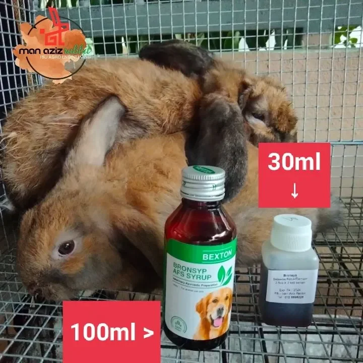 Bexton Bronsyp 30ml Ubat batuk u0026 Selsema arnab / rabbit dan kucing 