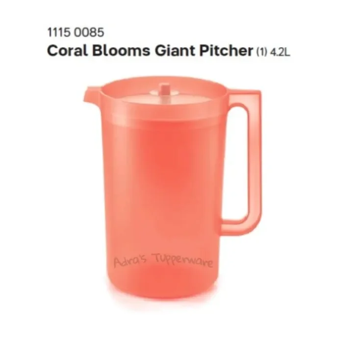 Coral Blooms Giant Pitcher
