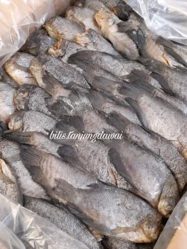 Beli Ikan Sepat Masin Pada Harga Terendah Lazada Com My