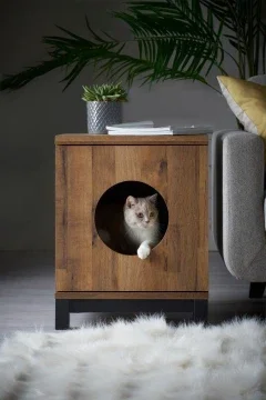 Beli rumah kucing wood Pada Harga Terendah  Lazada.com.my