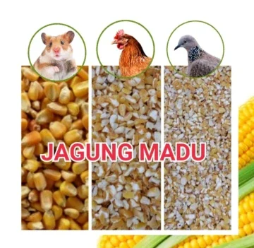 Beli jagung madu Pada Harga Terendah  Lazada.com.my