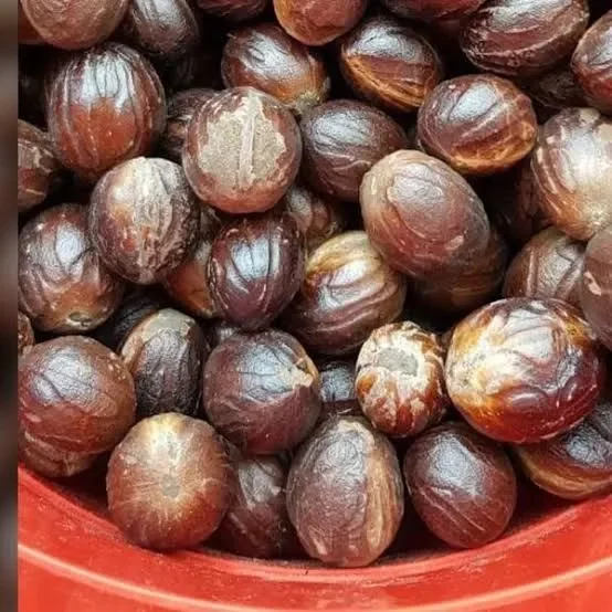 Buah Pala Kering 1 Kg Lazada Indonesia