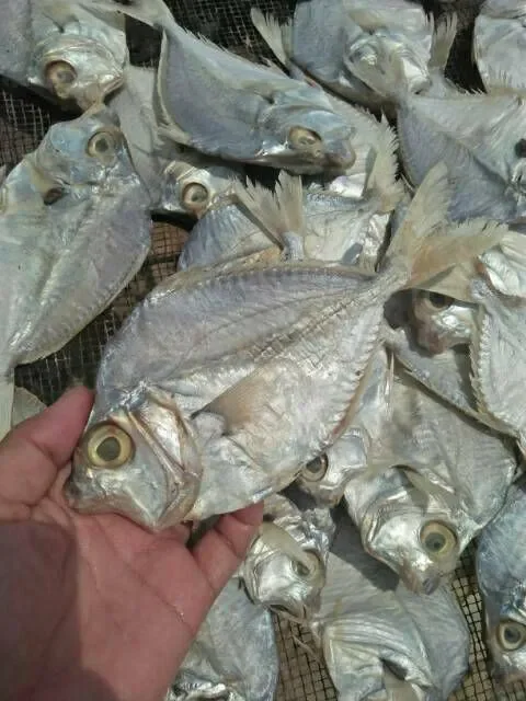 Ikan Asin Pethek Ikan Gereh Pethek Lazada Indonesia