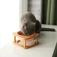 Jual Tempat Makan Kucing Stand Terbaru  Lazada.co.id