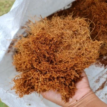 Beli sabut kelapa pokok Pada Harga Terendah Lazada.com.my