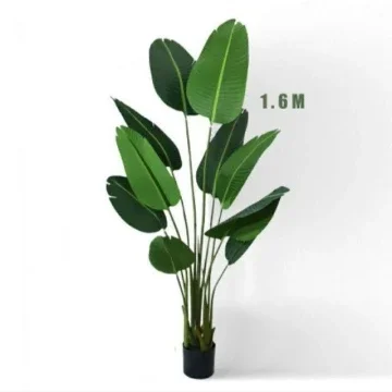 Beli Pokok Pisang Hiasan Pada Harga Terendah Lazada Com My