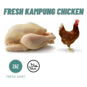 Beli Ayam Kampung Fresh Pada Harga Terendah Lazada Com My